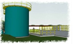 Ceasa 1 (5)